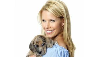 Join Beth Stern and Help Animals in Need