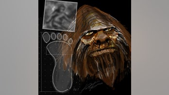 'Bigfoot' is part human, DNA study claims