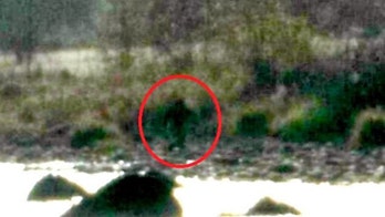 'Bigfoot' reportedly sighted in Northern California, pictures go viral