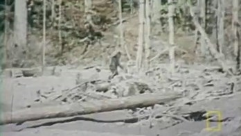 'Bigfoot' reportedly spotted in North Carolina forest