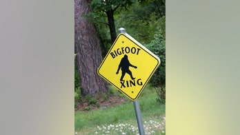 2 men claim 'Bigfoot' sighting in Ohio, video goes viral