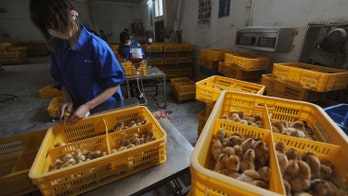 China says bird flu death toll rises to 14