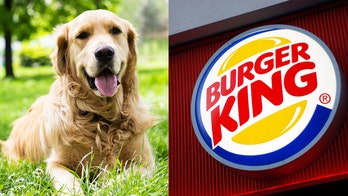 Burger King trained guide dog to sniff out Whoppers