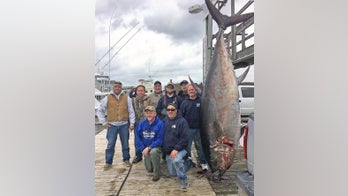 Retired Army general catches 877-pound bluefin tuna, breaks state record