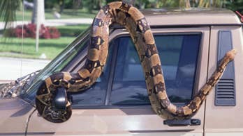 Movers Reveal: 5 of the Strangest Things That Happened While Moving Someone