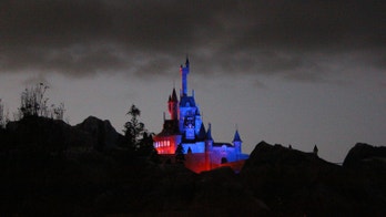 Disney World's New Fantasyland isn't just an expansion; it's an immersion