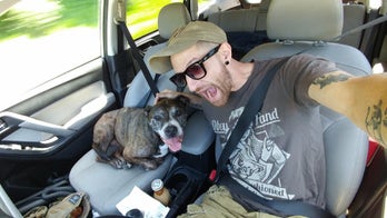 Veteran takes ailing service dog on cross-country road trip for life-saving surgery