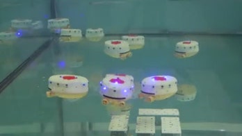 Underwater robots function like schools of fish
