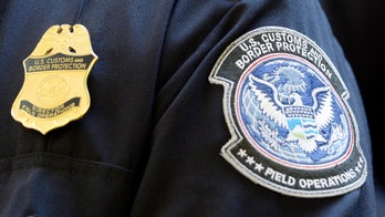 African cat skins, antelope head, giant snail shells confiscated by US Customs