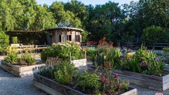 Let's Make Your Home Look Like Patrick Dempsey's Malibu Mansion -- for Less