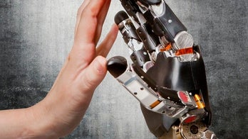 Touch-sensitive prosthetic limbs take step forward in monkey study