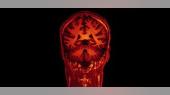 In the future, could brain imaging be used as legal evidence?