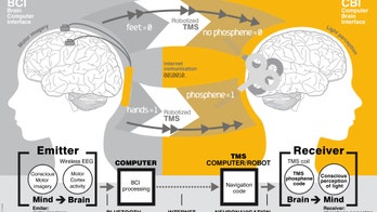We know what you’re thinking: Scientists test brain-to-brain communication