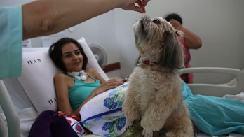 Dogs provide therapy in a Brazilian hospital
