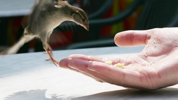 Beware your digital breadcrumbs, Ai Weiwei installation warns