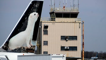 Breastfeeding pilots' claims against airline seen as advance