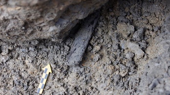 4,000-year-old bow, arrow and lunch box found in Swiss Alps
