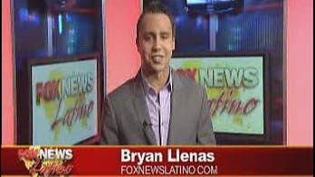 Latino Spotlights of the Week: the Accidental Deportation, Black Bears, and Selena Gomez