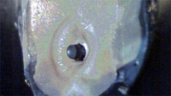 Utah Researcher Helps Artist Make Bulletproof Skin