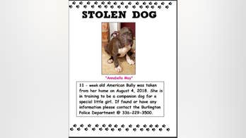 North Carolina puppy stolen from terminally ill girl, 5, with brain cancer: police