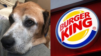 Burger King treats terminally ill dog to free cheeseburgers