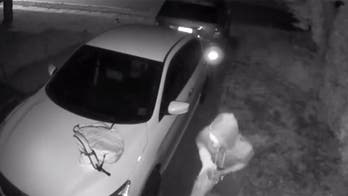 Burglar caught on camera defecating in driveway