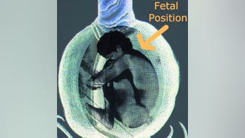 Egg-shaped pods: Coffins of the future?