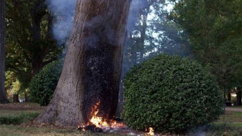 Student yells 'Hail Satan,' tries to bomb UNC’s famous Davie Poplar tree, professor gets severe burns
