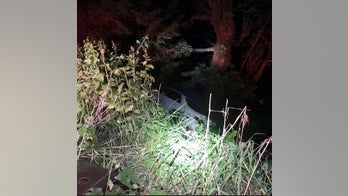 Burrito-eating driver crashes in Oregon, deputies say: Snack is 'only casualty'