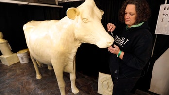 Curious about Iowa State Fair's famous Butter Cow? Here's everything you ever wanted to know
