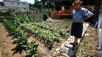 Fortune, friction and decline as casino 'Chinatown' matures