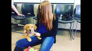 Woman who rescued golden retriever pup from abuse reunited at adoption ceremony