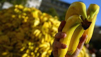 New York man eats Art Basel banana that sold for $120G