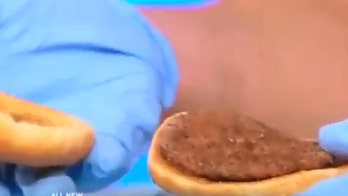 14-year-old McDonald's hamburger looks almost new