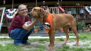Dog with cancer to reunite with family 2 years later