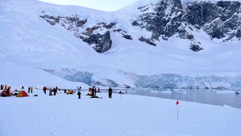 Penguins, whales and avalanches: Antarctica's coolest campsite offers 'once in a lifetime' experience
