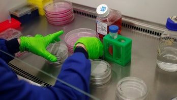 New technique not only detects cancer, it can pinpoint its location from blood samples