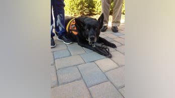 Baltimore woman says drug-sniffing dog detected her cancer