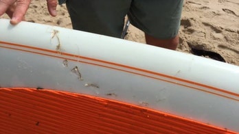 Shark bites paddleboard at Cape Cod beach