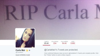 Porn star dies after fall from window during party