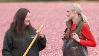 Cranberries grab Thanksgiving spotlight, especially in Wisconsin