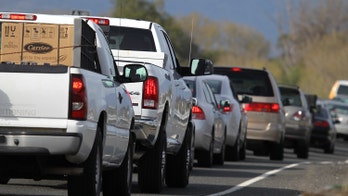 Illinois Approves Driver's Licenses for Undocumented Immigrants