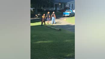 Dogs, horses in Kentucky possibly killed by 'large cat,' officials say