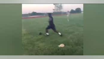 Video of cat being kicked like football prompts search for kicker, camera operator