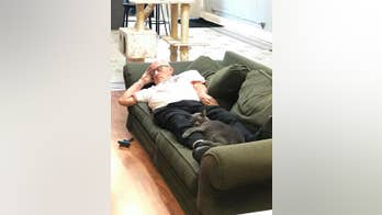 Wisconsin man naps with cats at animal sanctuary, goes viral