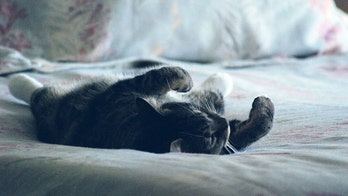 Aurelia Flores: Knowing When to Relax is a Good Career Move