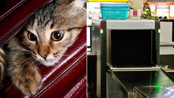 Passengers shoved cat into carry-on luggage, say airport police