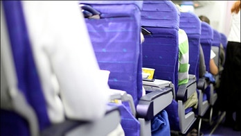 Would you buy an extra half of an airline seat?