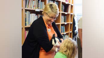 Leave baby wild animals alone, new campaign stresses