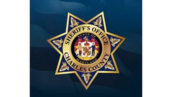 Maryland toddler is killed watching dad cut down tree